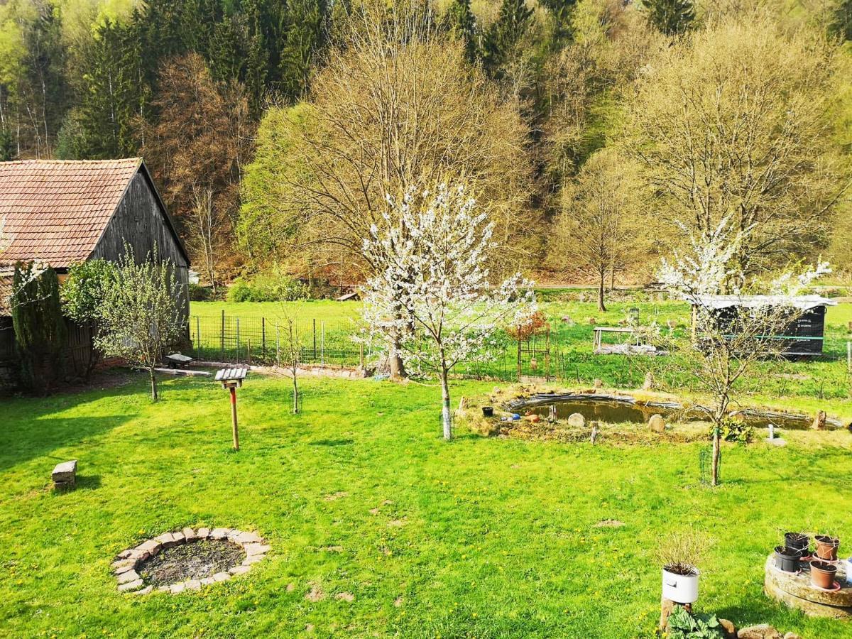 Sinnglueck Obersinn Zewnętrze zdjęcie
